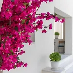 Harmony Beach House - 100 Steps From The Sea *