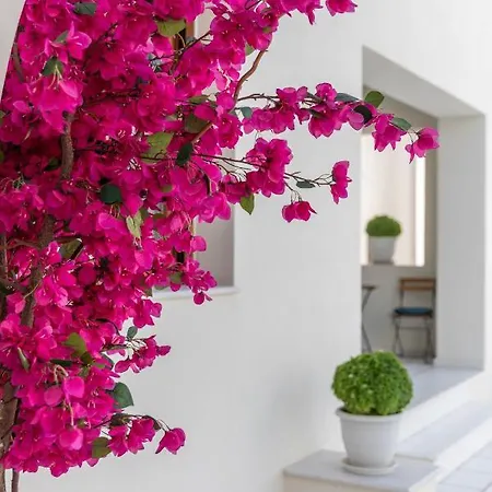 100 Steps - Harmony *