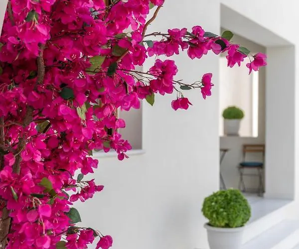 100 Steps - Harmony *